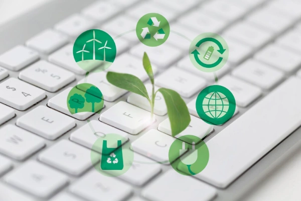 Carbon Offset Advisory