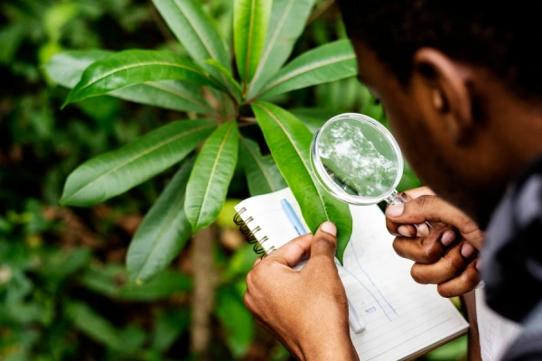Environmental Audit