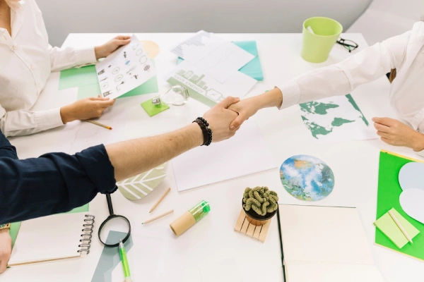 Key Benefits of Partnering with Us for Carbon Offset Advisory