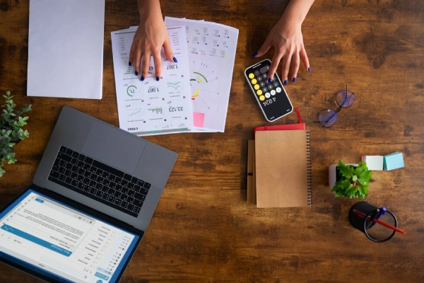 why organizations need audits and assessments