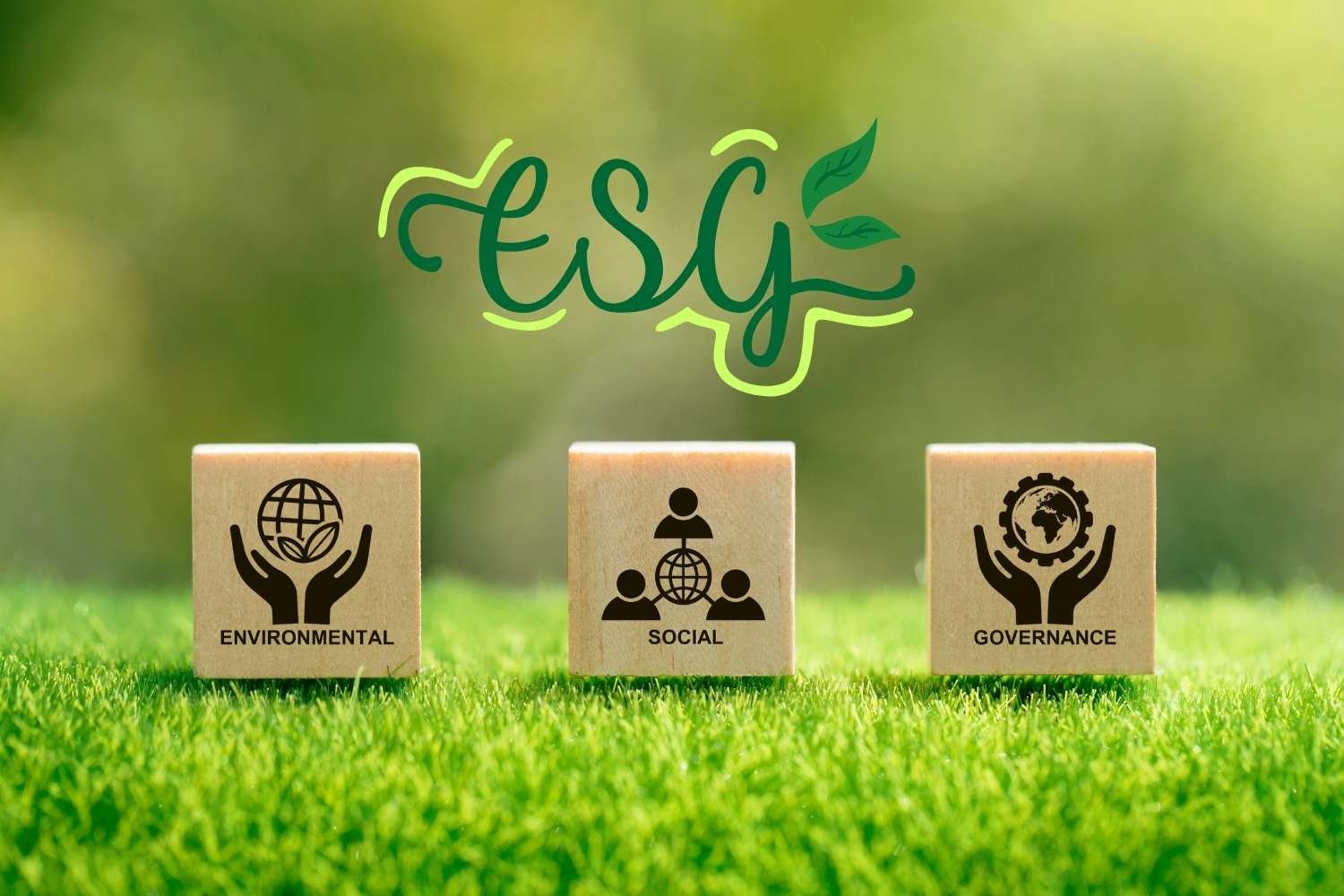 Day 1 ESG training – learning foundational concepts and ESG framework